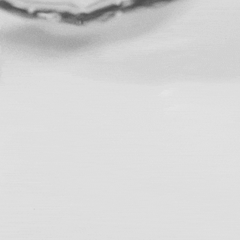 Node Fluid Shampoo